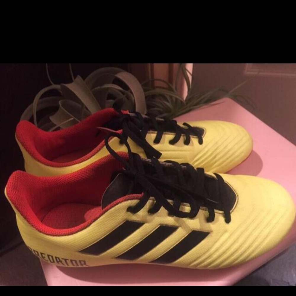 Adidas predator cleats